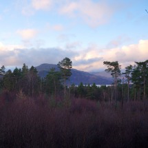 Ben Lomond mountain, Scotland
