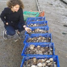 Native British Mandarin-speaking guide, Eve, with famous West Mersea oysters