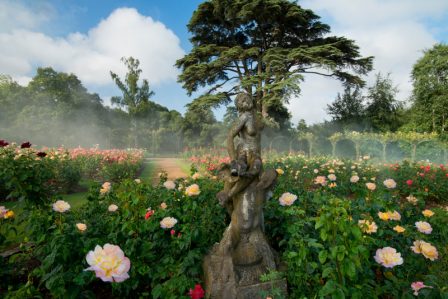 The Rose Garden at Blenheim Palace